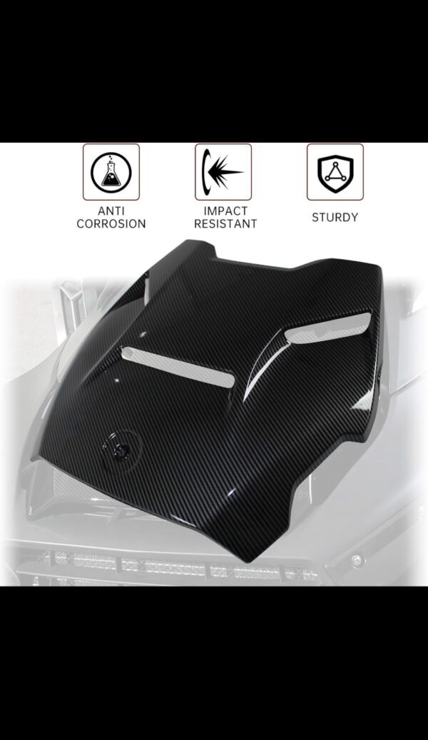 CanAm Carbon Fibre Hood and Panels