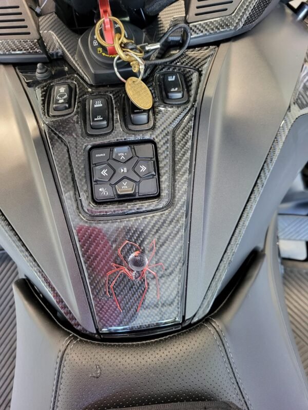 CanAm Carbon Fibre Hood and Panels
