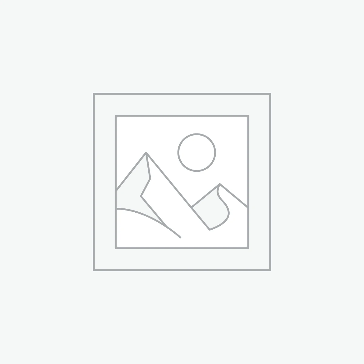 Can am Spyder driver backrest